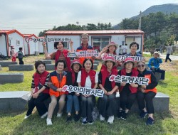 활동앨범 이미지